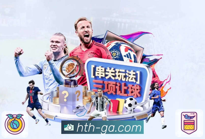 赛前情报整理服务